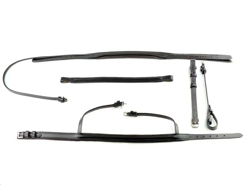 Ascot by Dever Comfort Padded Show Bridle in Black-3